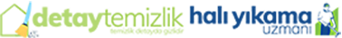 Detay Temizlik Logo