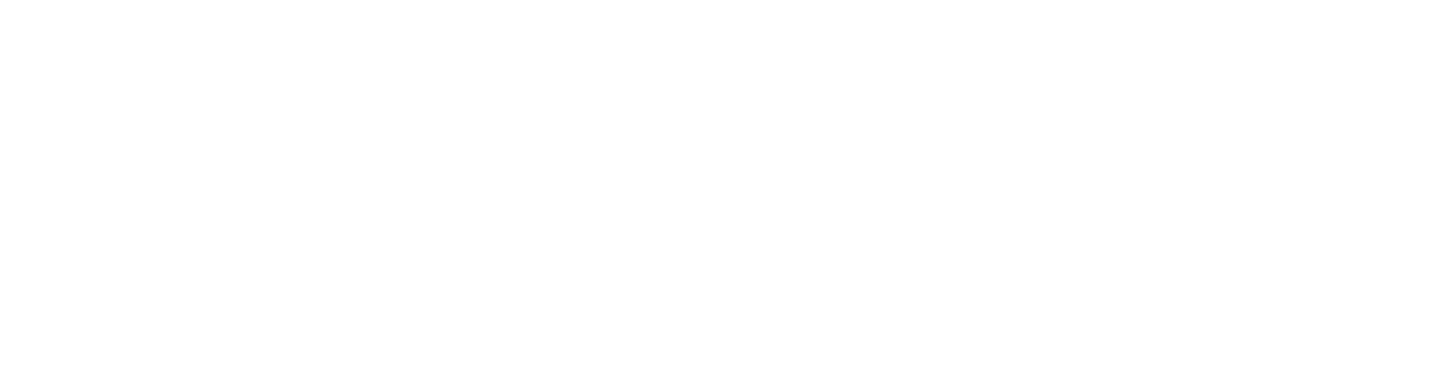 Liva Yönetim Logo