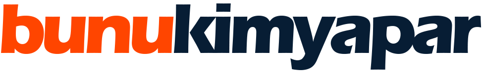 Dinamik Soft Logo