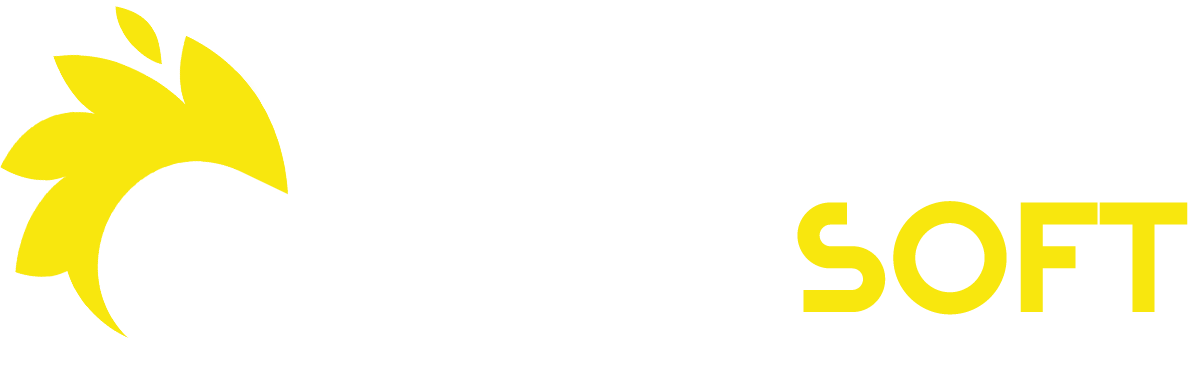 Dinamik Soft Logo
