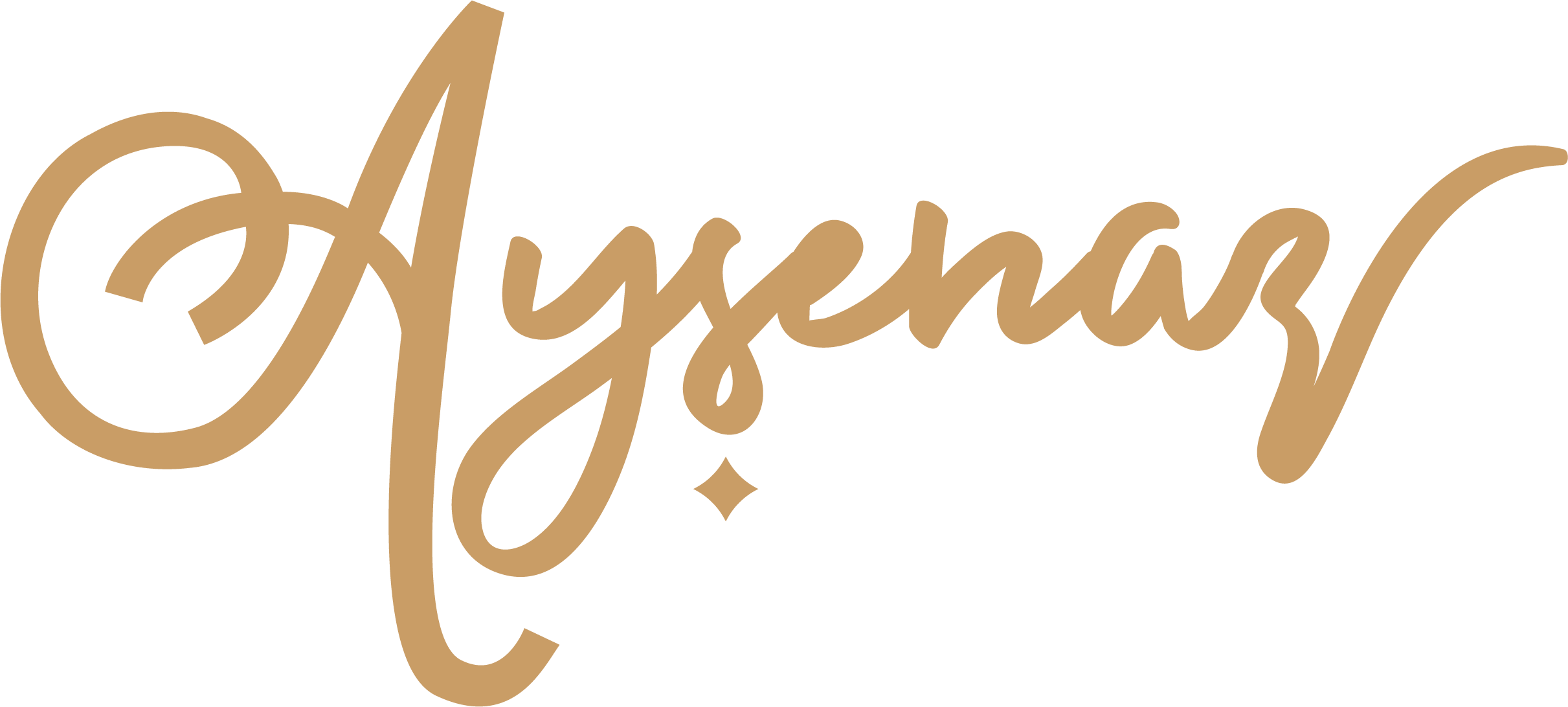 Ayşenaz Gelinlik Logo