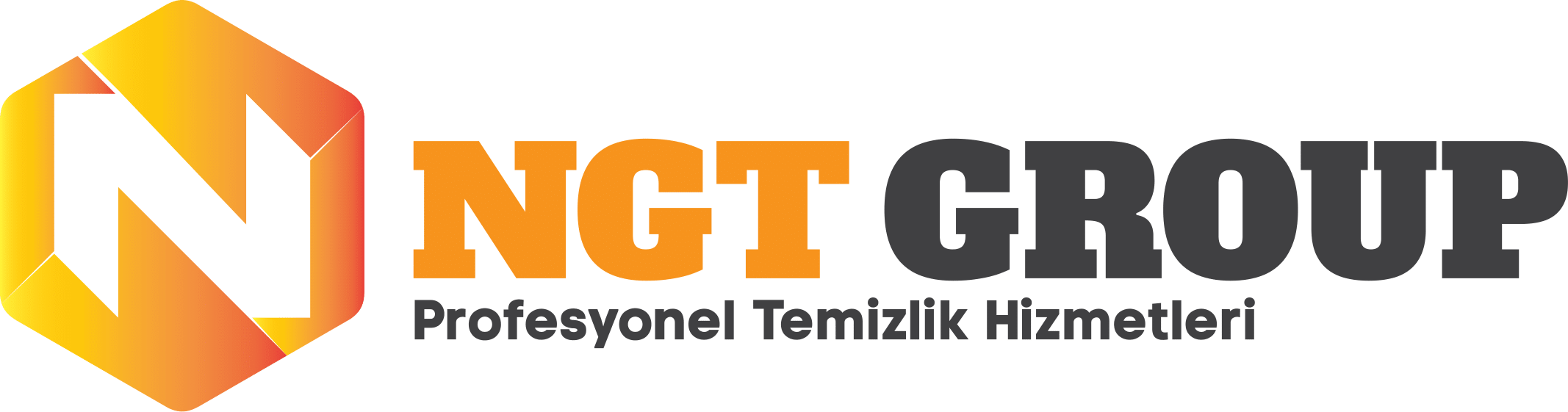 New Global Grup Logo