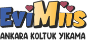 Evimiis Koltuk Yıkama Logo