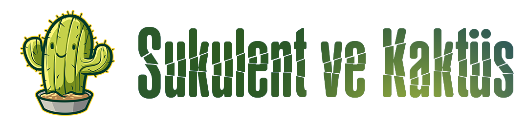 Sukulent Kaktüs Logo