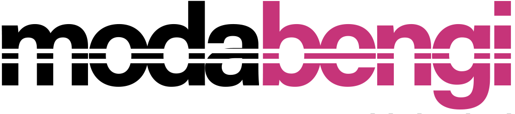 DinamikSoft Alt Hosting Logo